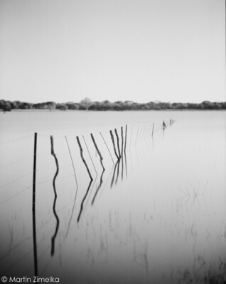 Rollei RPX 100 Rollfilm Format 120 expired 09/2026