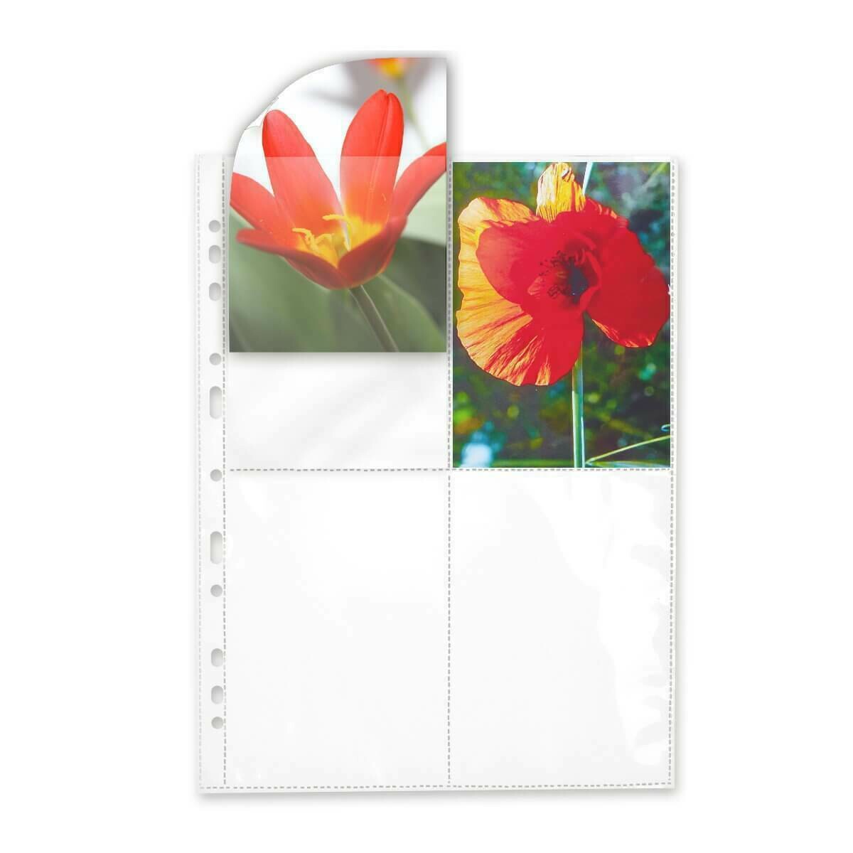 Transparent sleeves for Polaroid 600/SX70 - 25 sheets