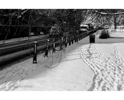 Kosmo Foto Mono 100 Format 120 Rollfilm date 06/2022