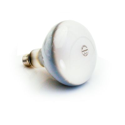PHILLIPS Dr. Fischer: Argaphoto 500W E27 Mushroom Lamp (With Reflector) Type BM 220/230V