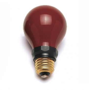 Darkroom Safelight Bulb Red 230v 15w E27 - Kaiser