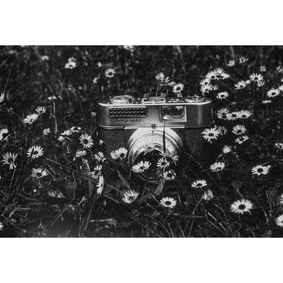 Original Wolfen DN21 Film Black and White Negative Panchromatic 8/10° b/w 135/36