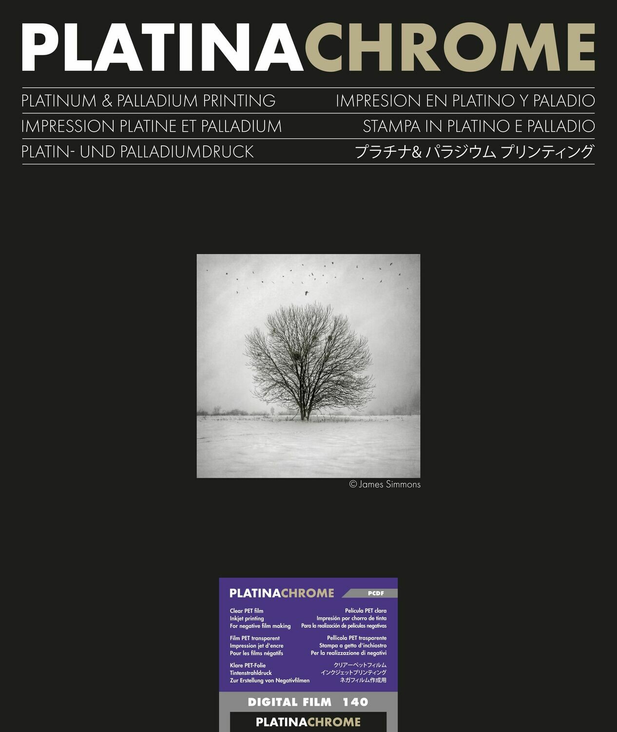 Ilford PlatinaChrome Digitalfilm, 40,6x50,8 cm, 25 sheets