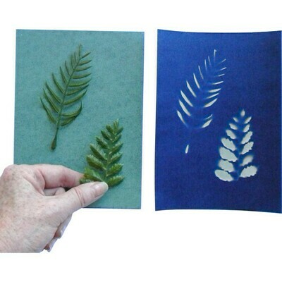 Blue Sunprints - Cyanotype Store Cyanotype Paper (8 x 10", White, 12 Sheets)