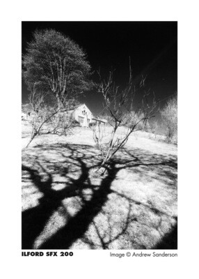 Ilford SFX 200 Black and White Negative Film (120 Roll Film) expired 02/2025 - stored in the refrigerator