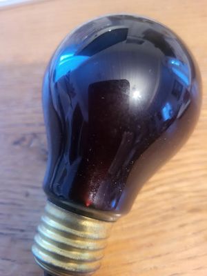 Darkroom Safelight Bulb red, 225V/15W, E27, Narva, Berlin