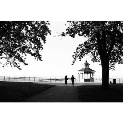 Kodak Eastman Ektapan PRO 400 Black and White 35mm Negative Roll Film, 100' Roll