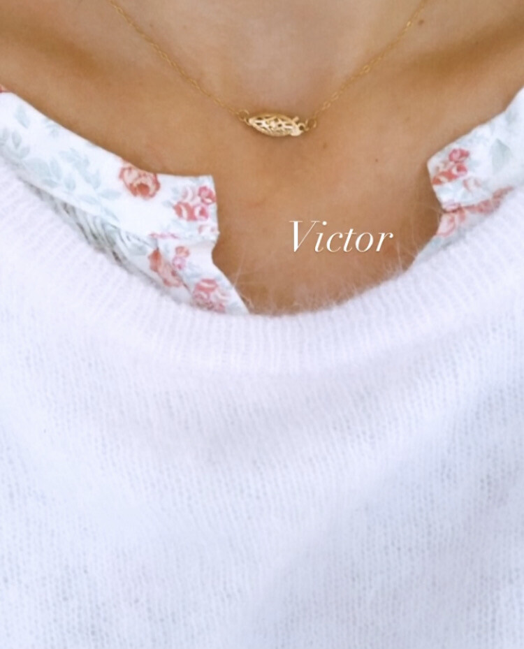  Victor