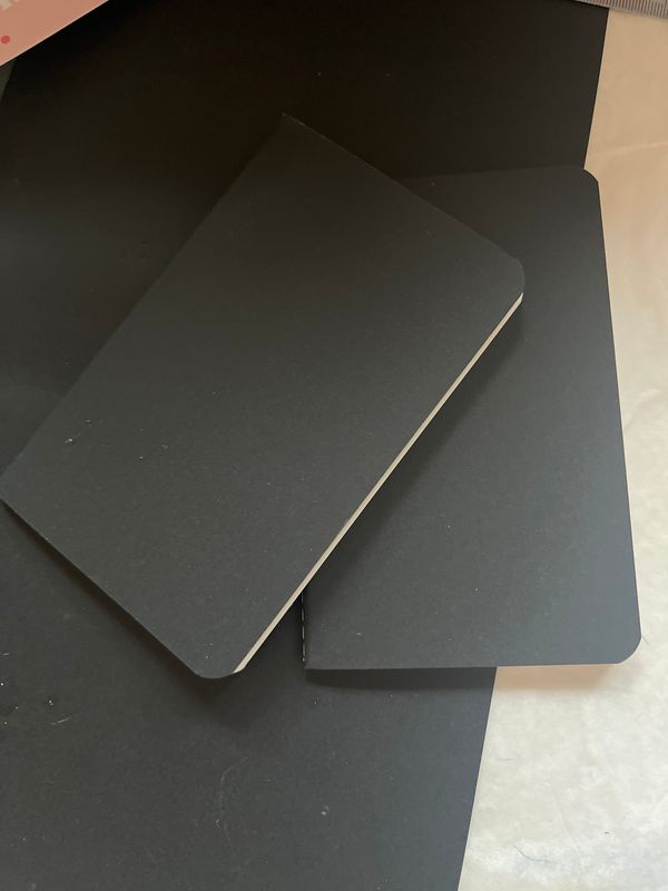 Lot de 2 carnets lignes pour Balzac et Flaubert