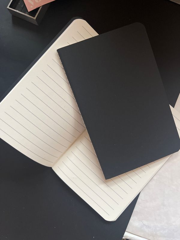 Lot de 2 carnets pour Flaubert A6