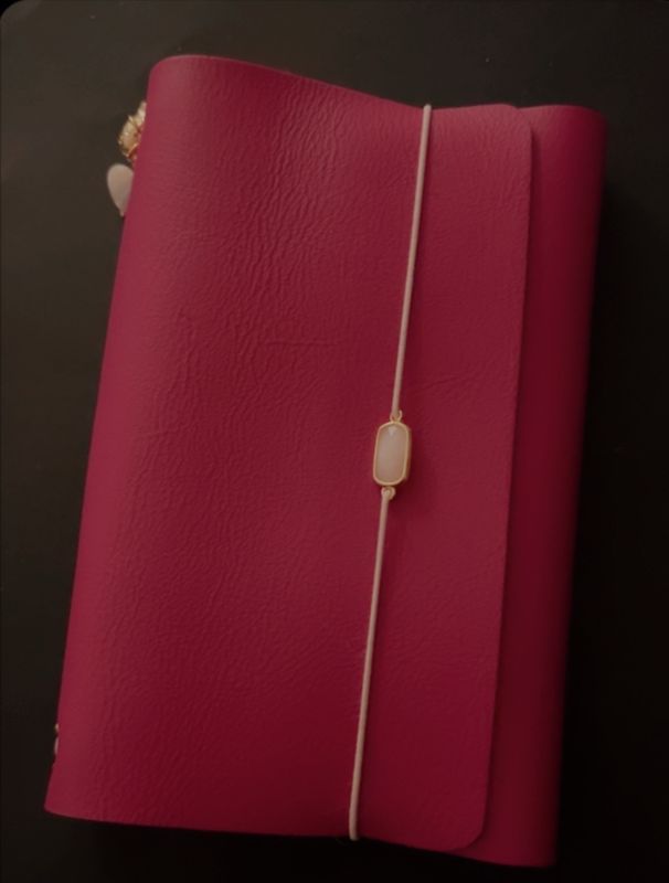 Flaubert rose 2eme modèle