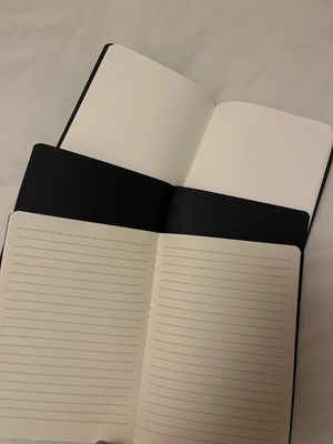Lot de 2 carnets A5  pour Hemingway