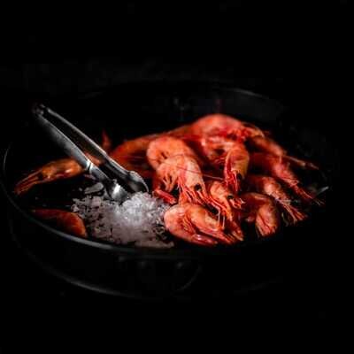 Arctic Cold Shrimps
