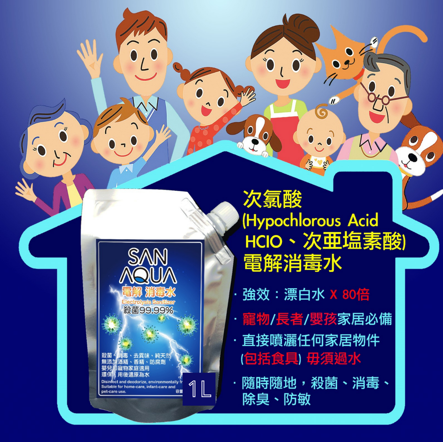 SanAqua 電解消毒水 1000ml 補充裝

SanAqua Refill 1000ml