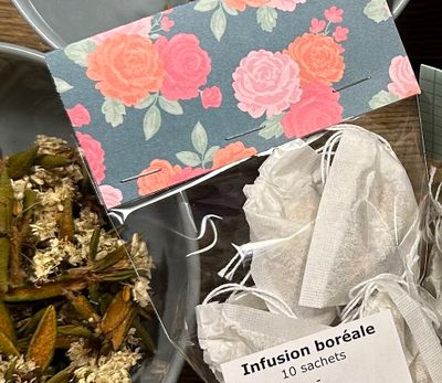 Infusion boréale à l'érable