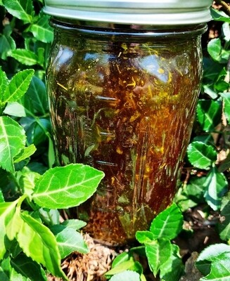 Hare Oil - Shapeshifting, Fertility, Prosperity