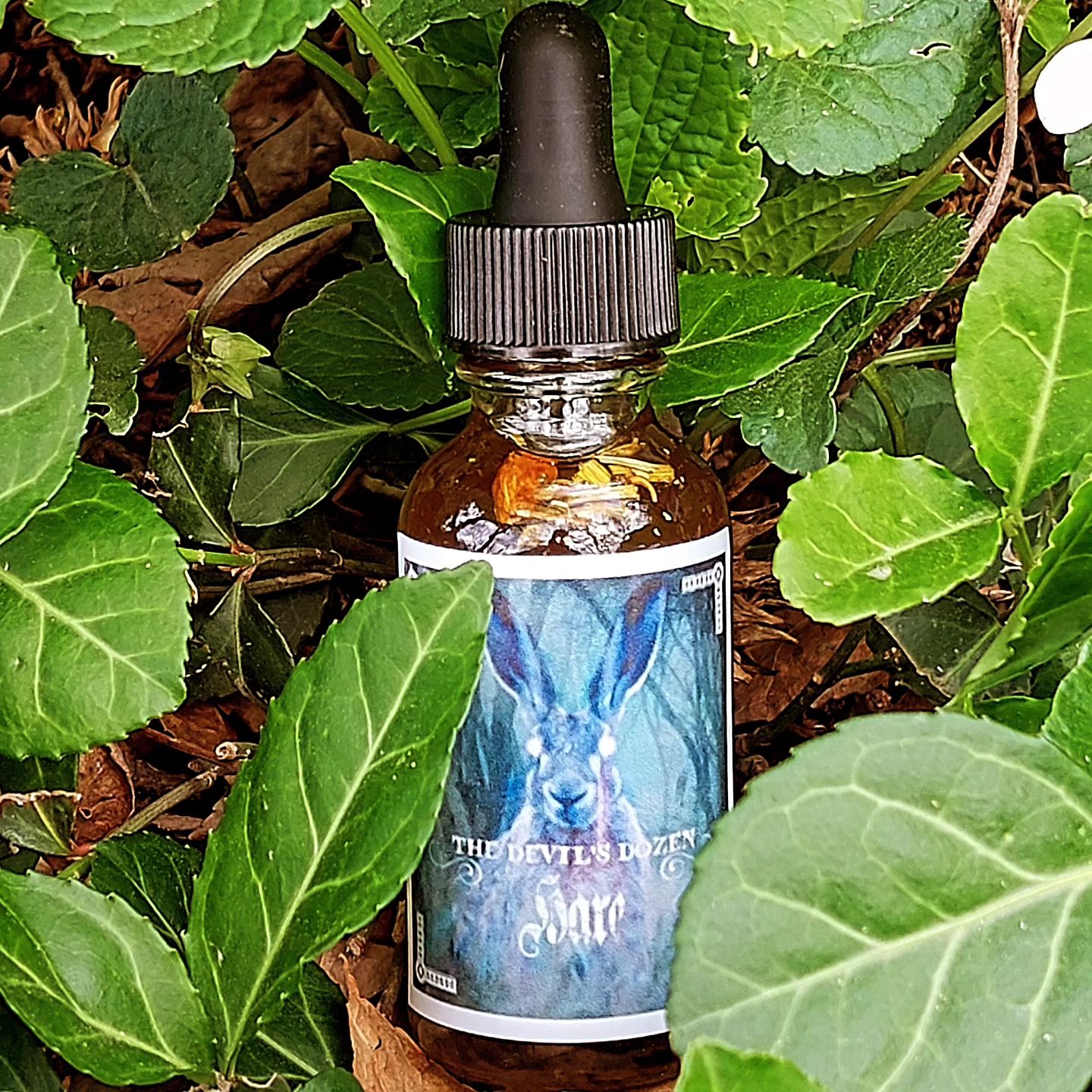 Hare Oil - Shapeshifting, Fertility, Prosperity