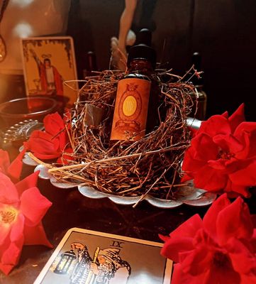 Virgo Oil