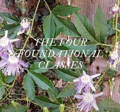The Philosophy of Magic: The Four Foundational Classes