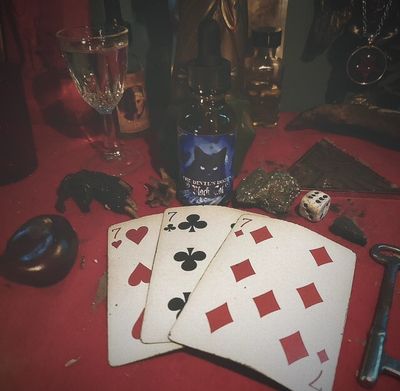 Black Cat Oil - Money, Love, Invisibility, Cunning