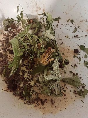 DUME Powder