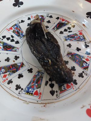 Gator Paw