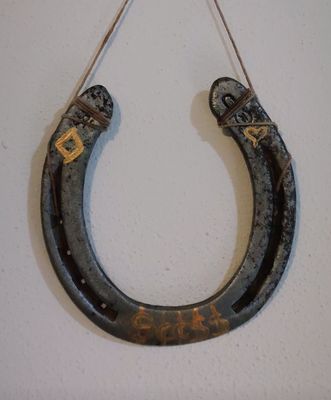Horseshoe Happy Home Amulet
