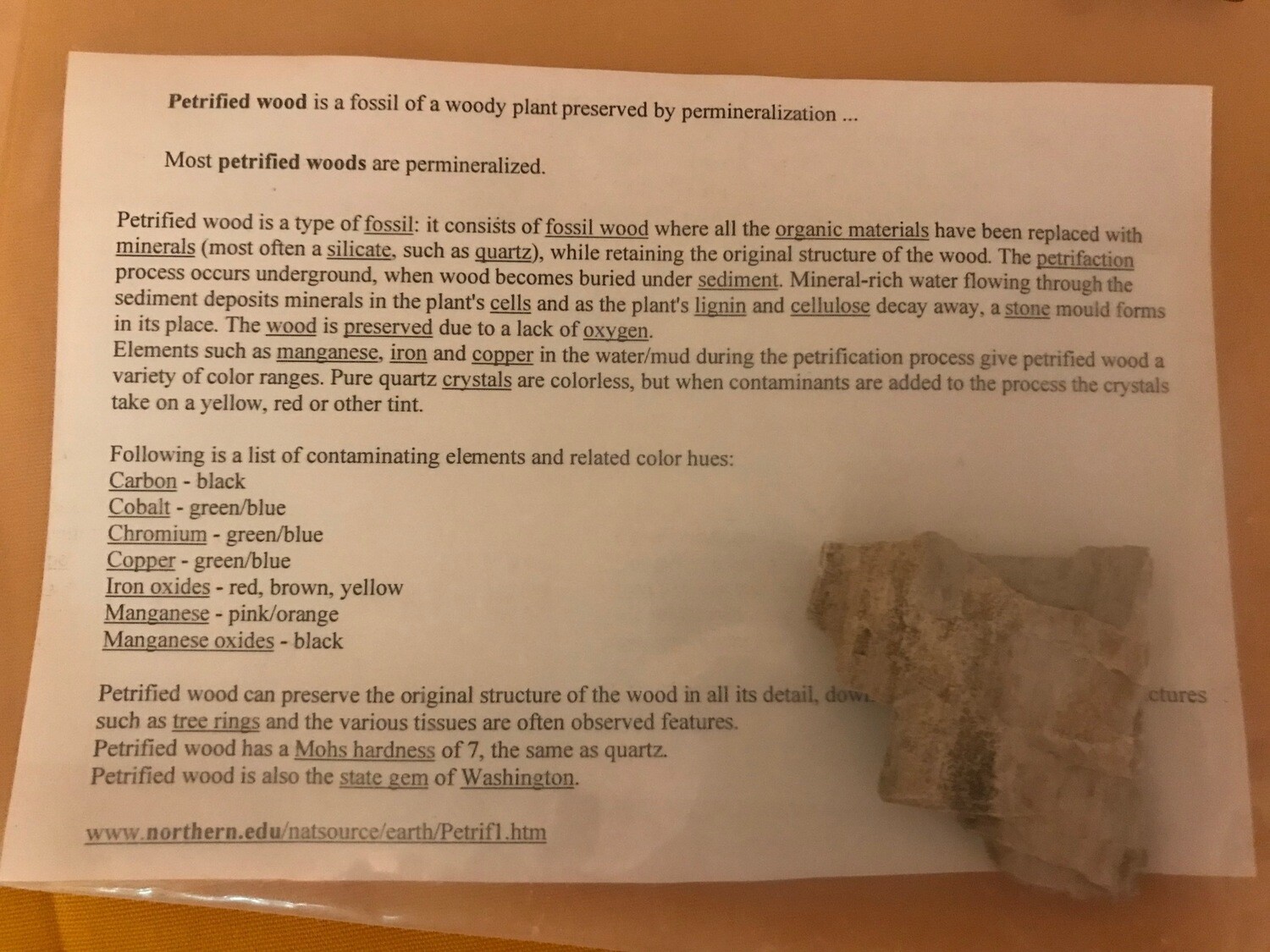 Petrified Wood/Limb Casts Petrified Wood/Limb Casts