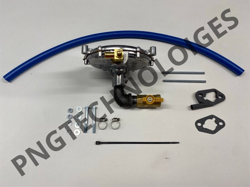 Porter Cable 5500 watt Natural Gas (Just Kit)