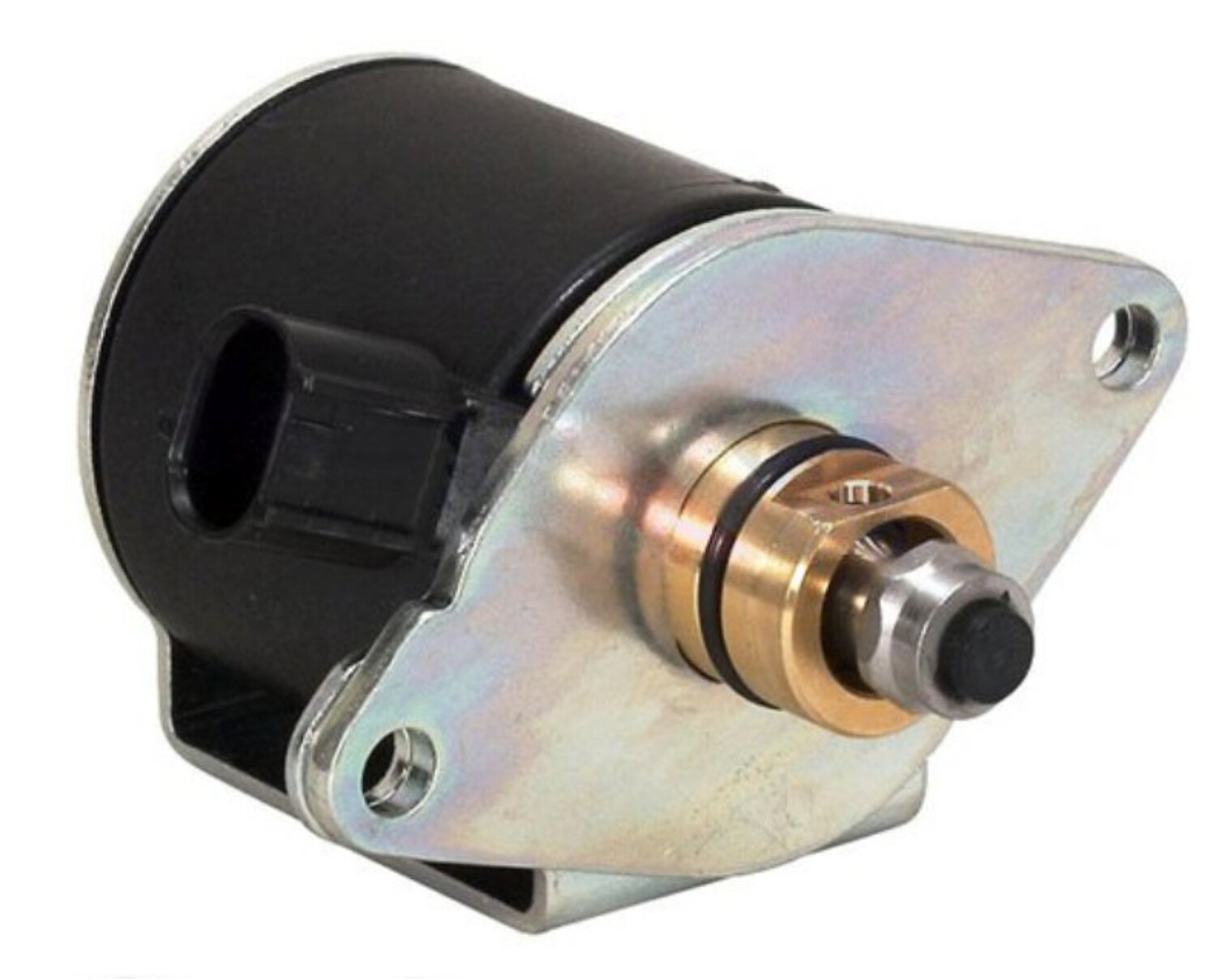 Asian Solenoid