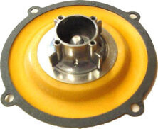 Algas Air Valve