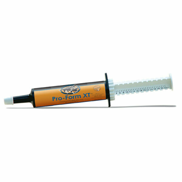 ProForm XT
