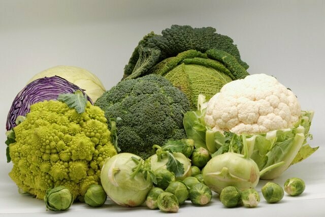 ASK THE PLANT® Analysis - for Brassicas