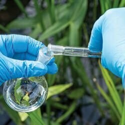Primary Water Analysis