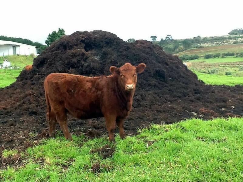 Micronutrients Test for Manure