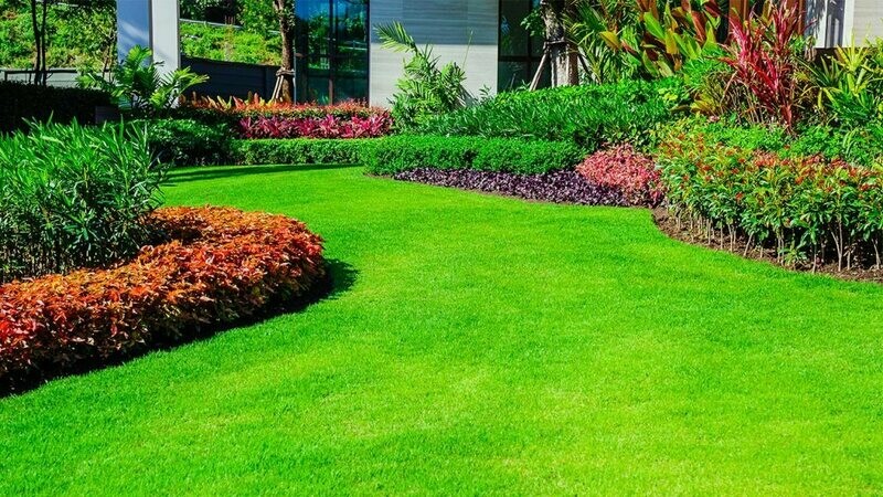 Landscapers' Comprehensive  Soil Test