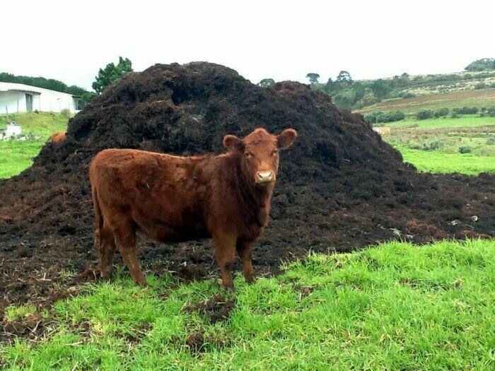 Total Nutrients Test for Manure