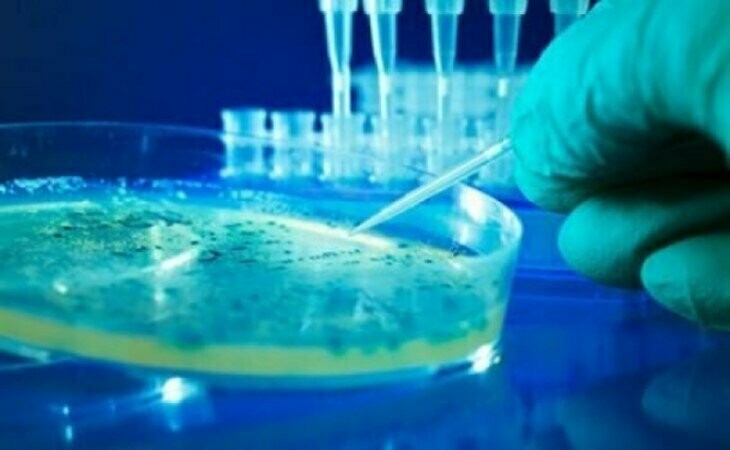 Fecal and Total Coliform Test for Compost
