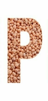 Phosphate (P) Analysis for Fertilizer