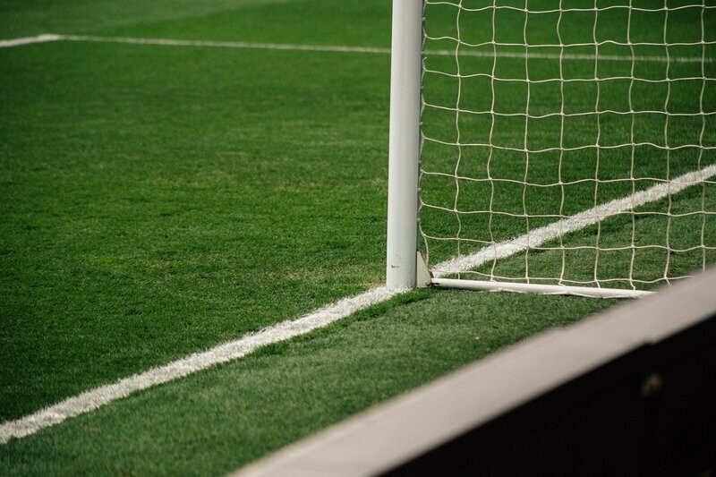 TPSL Plant Natural® Soil Test for Turfgrass, Lawns & Athletic Fields