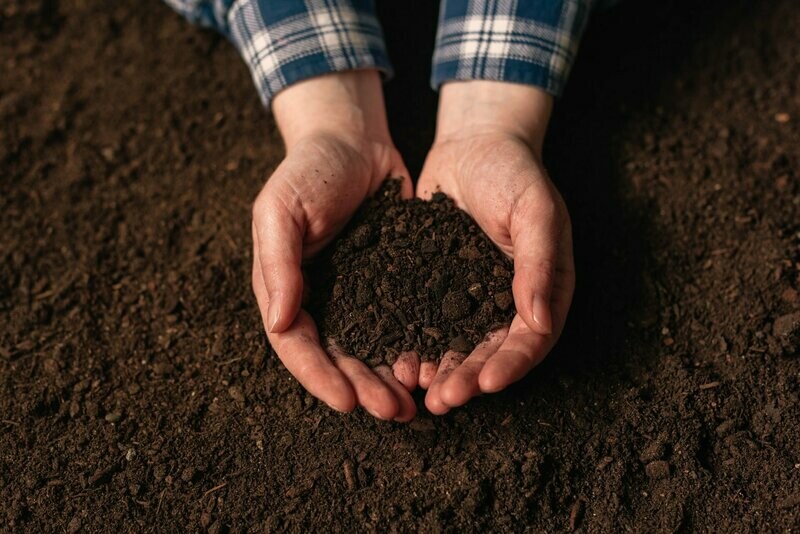 TPSL Plant Natural®  Soil Test with Write-Up
