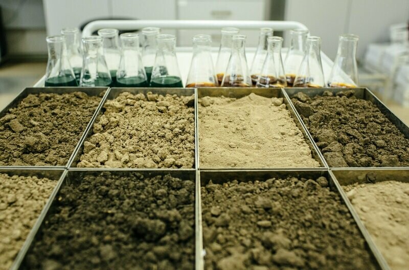TPSL Plant Natural® Soil Test + LOI + Solvita®