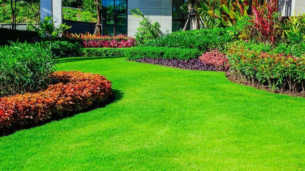 Landscapers' Comprehensive Soil Test Landscapers' Comprehensive Soil Test