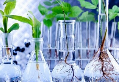 Hydroponic / Aquaponic Suitability Water Analysis