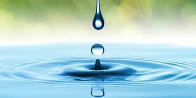 Domestic Suitability Water Test Domestic Suitability Water Test