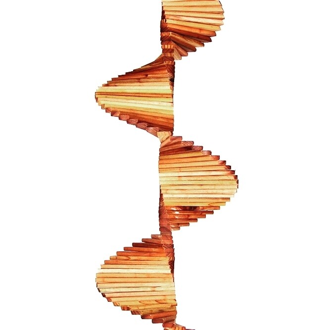 Wind spinner