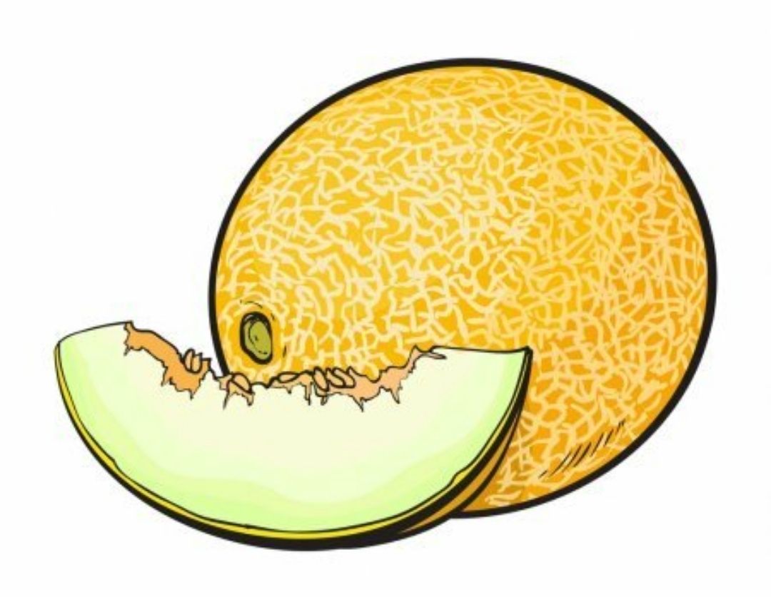 Huckabuck - Honeydew Melon