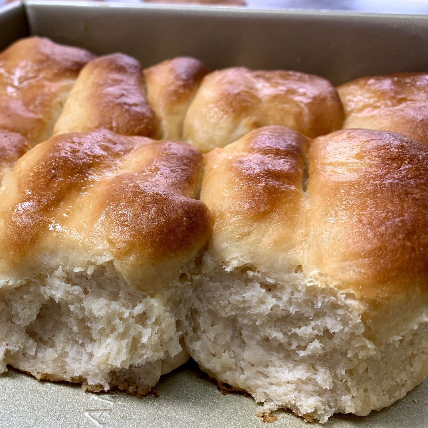 Parker House Rolls, Tray of 9 Parker House Rolls, Tray of 9