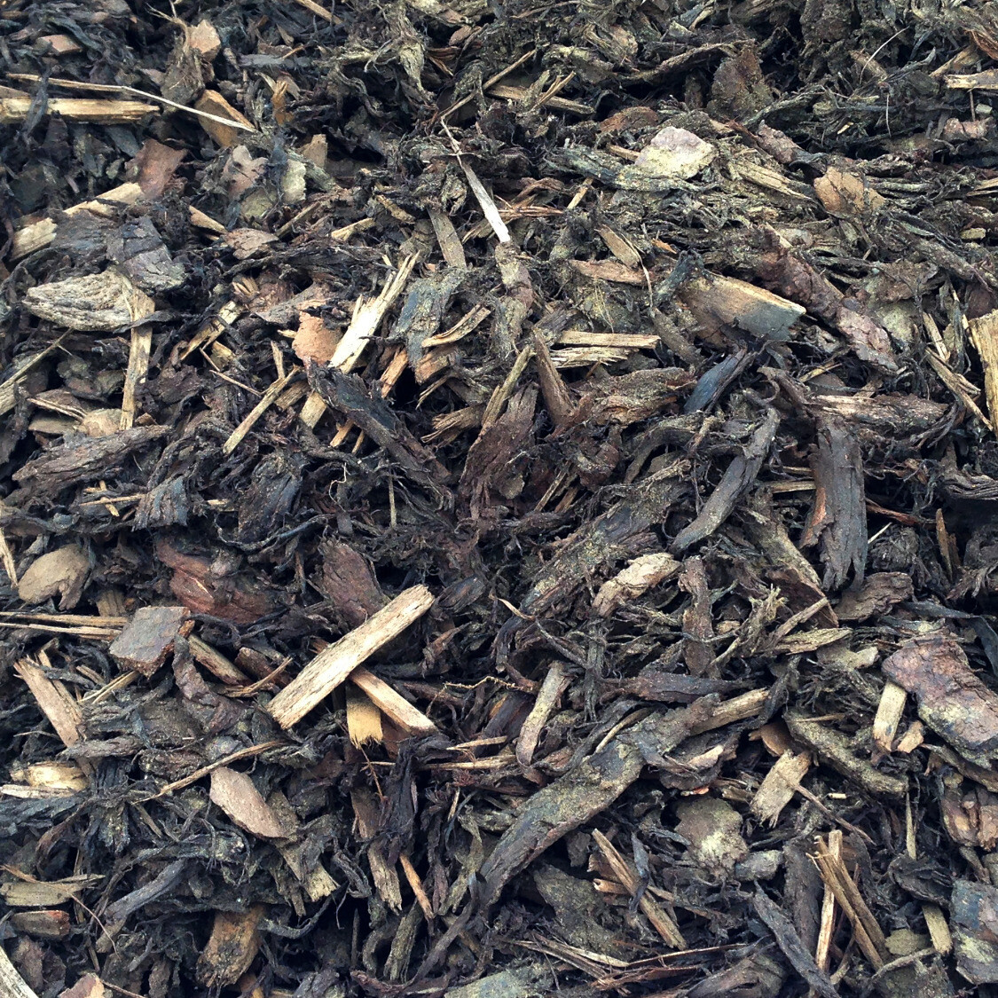 Border Bark - Bulk Bag