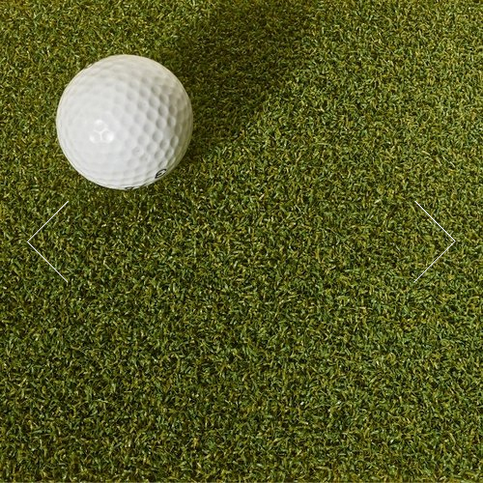 Pro Line Putting Green grass